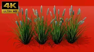 001 - Green Screen | Chroma Key | Grass | 4K