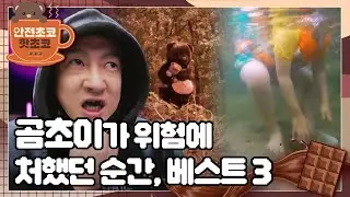 곰통령은 곰초이, 곰철수와 함께했던 가장 위험했던 순간을 떠올리는데...ㅣ안전초코 핫초코ㅣ곰초이가 위험에 처했던 순간, 베스트3