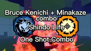 Requested Combo: Bruce Kenichi + Minakaze Combo