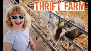 Family Day Out at Thrift Farm, Milton Keynes