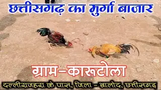 मुर्गा बाजार, कुकरा बाजार। छत्तीसगढ़ का मुर्गा बाजार। कारूटोला का मुर्गा बाजार। बालोद जिला में बाजार