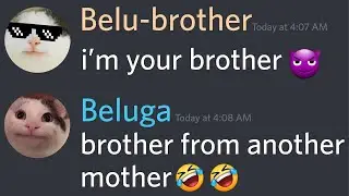 When Beluga Meets His Brother...
