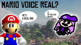 My Mario Voice reel (Very Real)