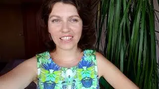 Лето и выставка собак