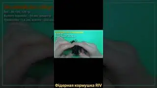 29 июля 2024 г.