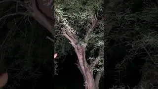 Escuchamos la voz de un n!ñ0 que nos hablaba en este camino desolado