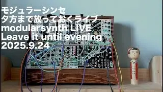I Left My Modular Synth Alone Until Evening - Sep 24, 2025.