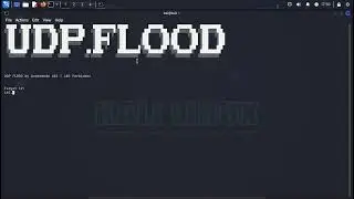New DoS Tool (UDP FLOOD)