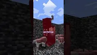 ANJING ARMOR vs WARDEN?! Siapa yang menang???