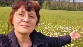 Преображение, моё сновидение сегодня, "поезд отправляется", стадо свиней в евангелии.