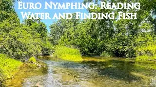 Euro Nymphing: Reading Water and Finding Fish