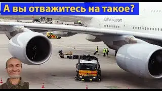 Очень рекомендую посмотреть! История нашего переезда в Австралию. (видео 316)