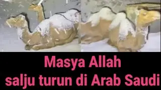 Salju turun di Arab Saudi
