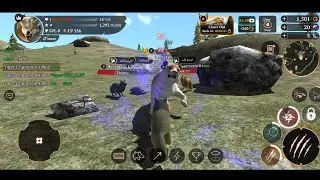 10 mins hunt on a new account 5k wolf.