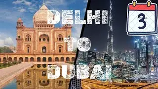 Delhi to Dubai Day 3, Car Auction #dubai #dubailife