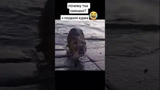 😂😂😂 