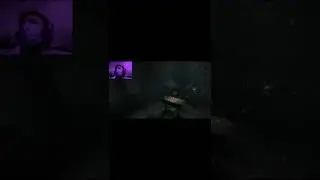 ЧТО ТАМ ПРОИСХОДИТ 🤣