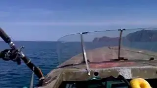 Палана-Лесная