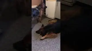 30.04.2024, по просьбам вышла в эфир😉