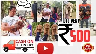 CHEAPEST DOG MARKET | BEST QUALITY PUPPIES | HEALTHY PUPPIES | DOGS FOR SALE | PETS FOR SALE #INDIA