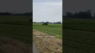 Мтз косит траву на осень🌾