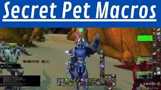 How to Keep Your Hunter Pets ALIVE Forever (WoW Macros Guide)