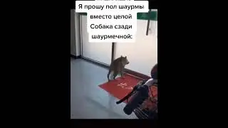 тик ток нарезка
