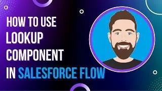 Salesforce Screen Flow: How to Use Lookup Component