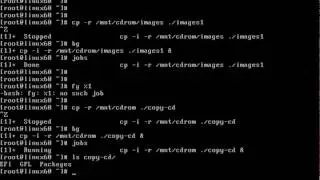 Linux Processes bg & fg