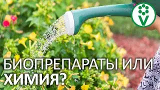 ВСЕ ПЛЮСЫ ИСПОЛЬЗОВАНИЯ БИОПРЕПАРАТОВ! После этого видео вы перестанете травить себя "химией"
