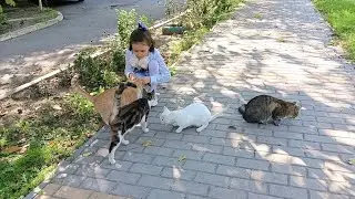 Милочка кормит  бездомным котят. ( Пока папа в больнице...она за него)  #помощьживотным #котята #cat