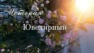 История. Ювелирный