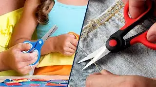 Blunt Tip vs Pointed Tip - Which is Right for You?