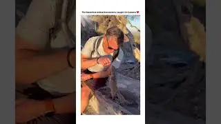 Cutest Animal encounters 🥰
