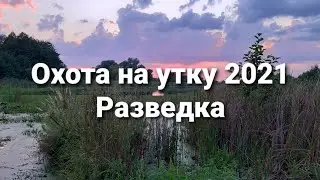 ОХОТА НА УТКУ 2021. Ч.1. РАЗВЕДКА.