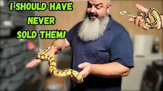 Visiting the Coolest Snakes I've Ever Sold