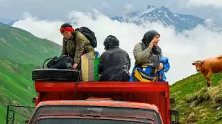 Zorlu Migration in the North - 3000 Altitude Plateau 