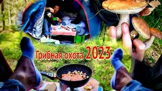 ГРИБНАЯ ОХОТА 2023, ОТКРЫТИЕ СЕЗОНА ГРИБЫ ПОПЁРЛИ.
