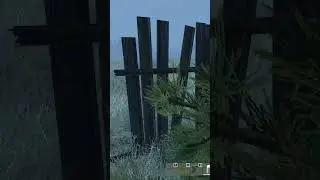 M0nesy ушел из cs2 в dayz 