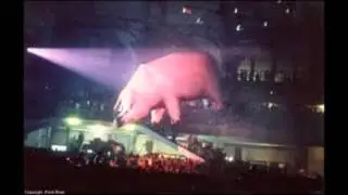 Pink Floyd LIVE ~ DOGS ~ Rowdy Cleveland Show 1977 ~ Animals Tour !