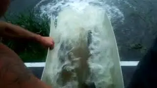 Lacul Boteni 1 repopulare cu crap pentru pescuit sportiv