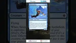 $45 Budget Deck ideas for Nicazli, Current Conductor  