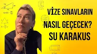 VİZELER NASIL GEÇECEK? TAROT AÇILIMI| SU KARAKUŞ