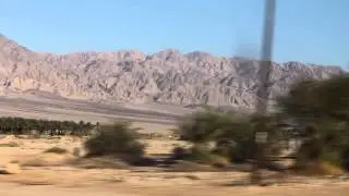 عين جدي في فلسطين
