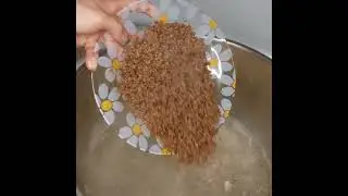 Ev yapımı tavuklu köpek maması