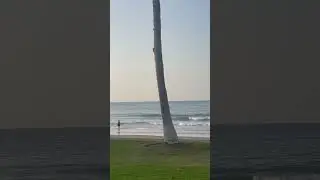 Amazing Oman Beaches #youtuber #youtube #youtubeshorts
