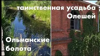 Ольманские болота и таинственная усадьба Олешей