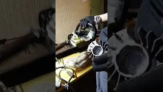 11 ноября 2022 г.