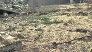 Советский военный городок ЦЕРБСТ 19.02.2014