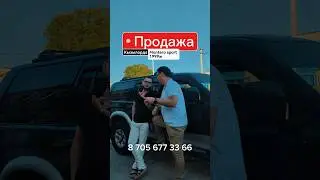12 августа 2024 г.